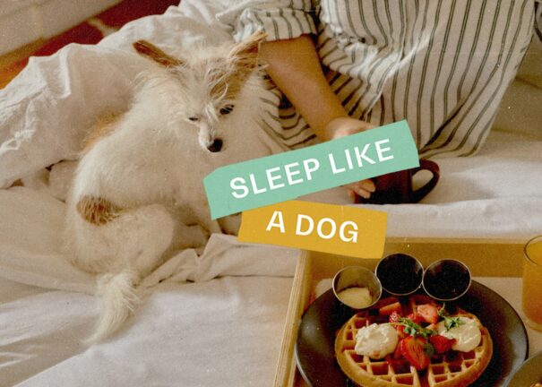 A person and a small dog relax on a bed with a breakfast tray; text reads SLEEP LIKE A DOG.